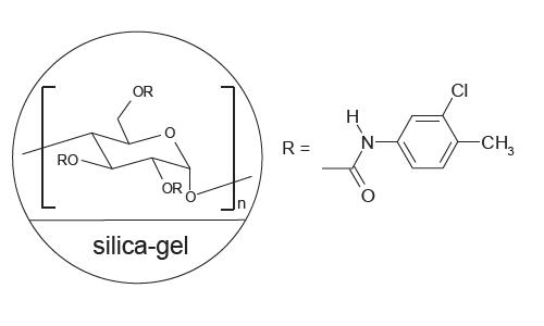FLM Chiral NZ(2) FLM Chiral NZ(2)